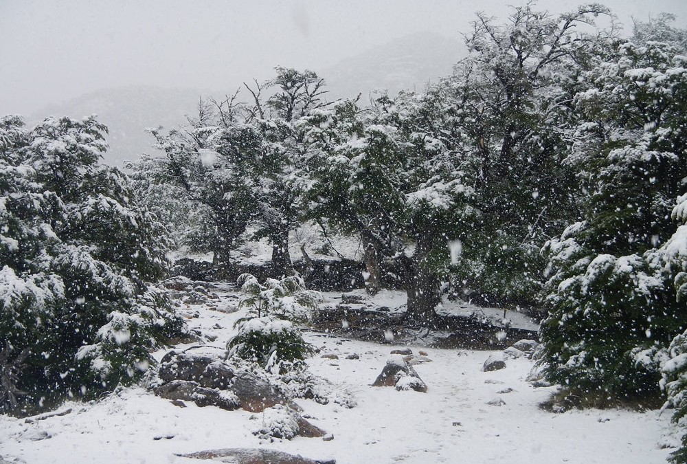 Christmas in Patagonia